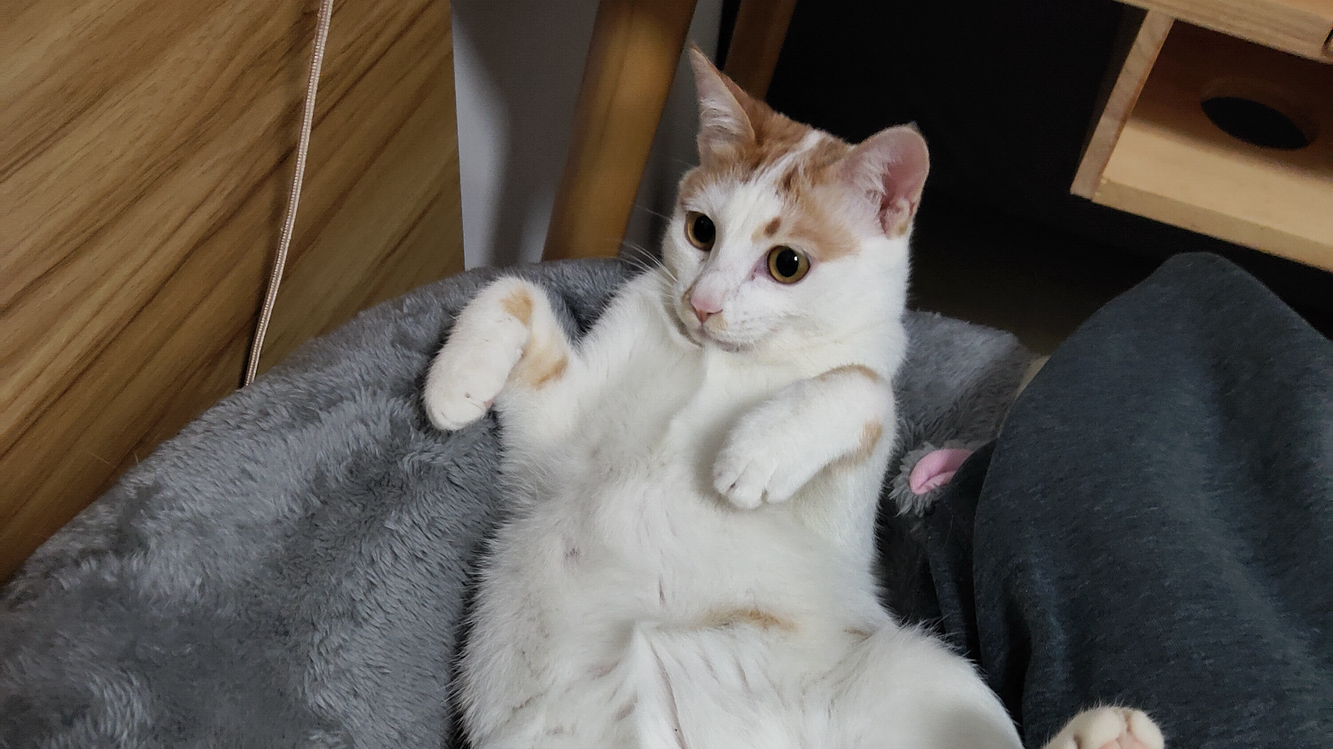 猛的一批